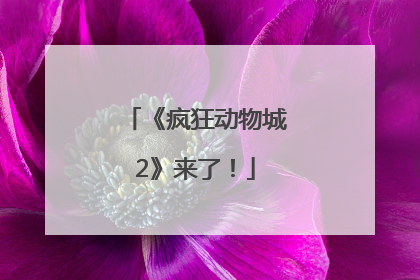 《疯狂动物城2》来了！