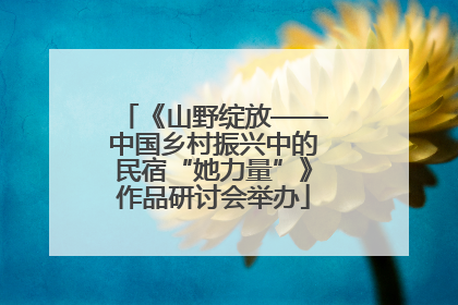 《山野绽放——中国乡村振兴中的民宿“她力量”》作品研讨会举办