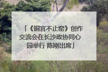 《铜官不止窑》创作交流会在长沙政协同心园举行 陈刚出席