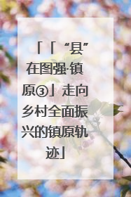 「“县”在图强·镇原③」走向乡村全面振兴的镇原轨迹