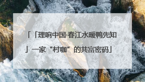 「理响中国·春江水暖鸭先知」一家“村咖”的共富密码