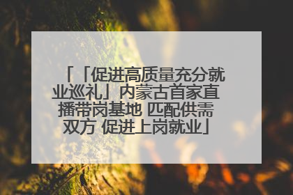 「促进高质量充分就业巡礼」内蒙古首家直播带岗基地 匹配供需双方 促进上岗就业