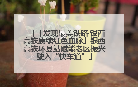 「发现最美铁路·银西高铁赓续红色血脉」银西高铁环县站赋能老区振兴驶入“快车道”
