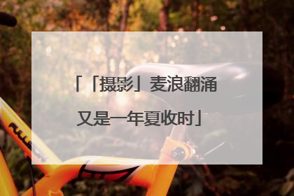 「摄影」麦浪翻涌 又是一年夏收时