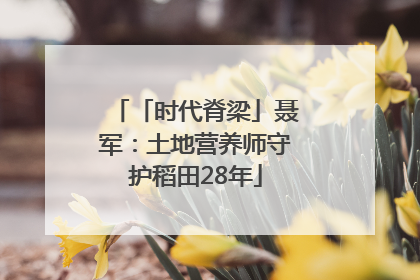 「时代脊梁」聂军：土地营养师守护稻田28年