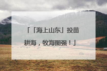 「海上山东」投苗耕海，牧海图强！