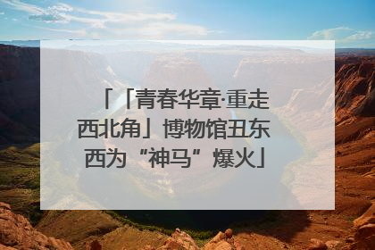 「青春华章·重走西北角」博物馆丑东西为“神马”爆火