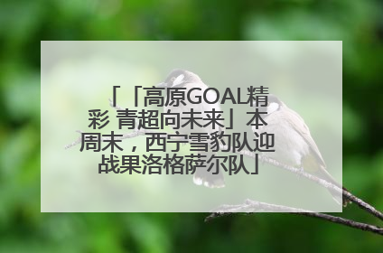「高原GOAL精彩 青超向未来」本周末，西宁雪豹队迎战果洛格萨尔队