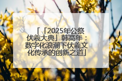 「2025年公祭伏羲大典」韩高年：数字化浪潮下伏羲文化传承的创新之道