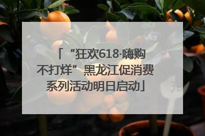 “狂欢618·嗨购不打烊”黑龙江促消费系列活动明日启动