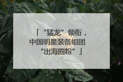 “猛龙”领衔，中国明星装备组团“出海圈粉”