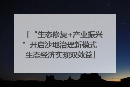 “生态修复+产业振兴”开启沙地治理新模式 生态经济实现双效益
