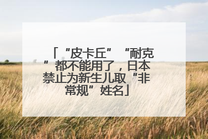 “皮卡丘”“耐克”都不能用了，日本禁止为新生儿取“非常规”姓名