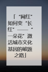 “网红”如何变“长红”——“一朵花”激活城市文化基因的破题之路