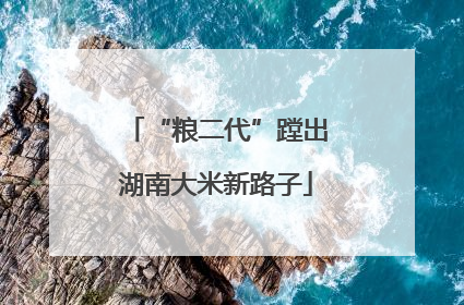“粮二代”蹚出湖南大米新路子