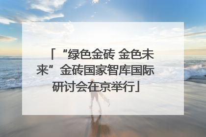“绿色金砖 金色未来”金砖国家智库国际研讨会在京举行