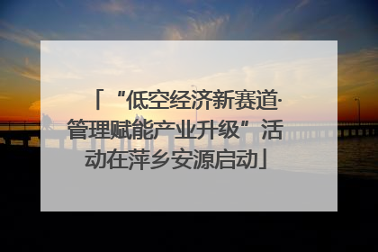 “低空经济新赛道·管理赋能产业升级”活动在萍乡安源启动