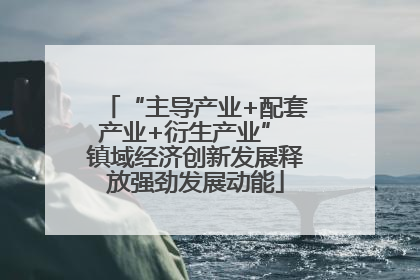 “主导产业+配套产业+衍生产业” 镇域经济创新发展释放强劲发展动能