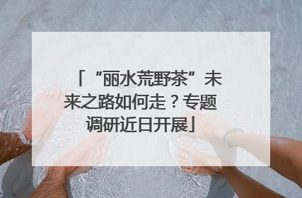 “丽水荒野茶”未来之路如何走？专题调研近日开展
