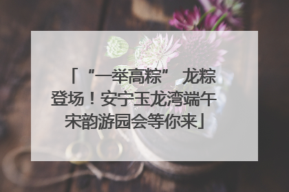 “一举高粽” 龙粽登场！安宁玉龙湾端午宋韵游园会等你来