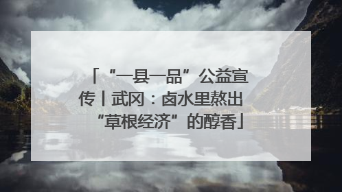 “一县一品”公益宣传丨武冈：卤水里熬出“草根经济”的醇香