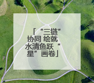 “三链”协同 绘就水清鱼跃“星”画卷