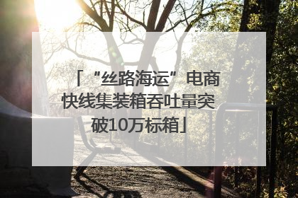 “丝路海运”电商快线集装箱吞吐量突破10万标箱
