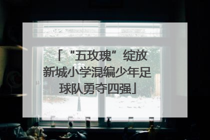 “五玫瑰”绽放 新城小学混编少年足球队勇夺四强