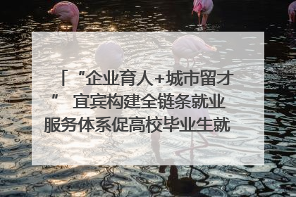 “企业育人+城市留才” 宜宾构建全链条就业服务体系促高校毕业生就业｜您牵挂的四川