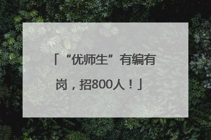 “优师生”有编有岗，招800人！