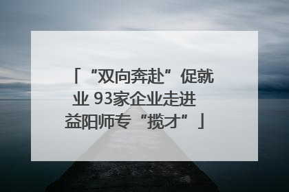 “双向奔赴”促就业 93家企业走进益阳师专“揽才”