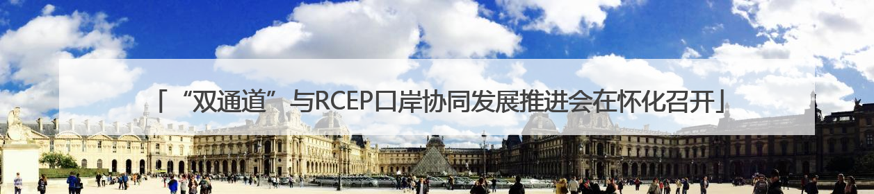 “双通道”与RCEP口岸协同发展推进会在怀化召开