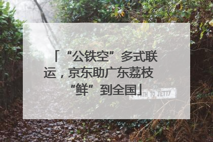 “公铁空”多式联运，京东助广东荔枝“鲜”到全国