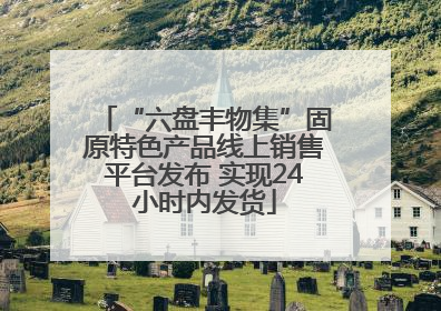 “六盘丰物集”固原特色产品线上销售平台发布 实现24小时内发货