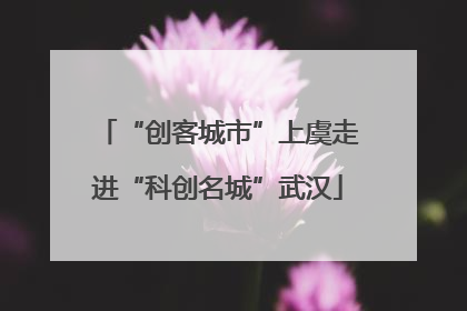 “创客城市”上虞走进“科创名城”武汉