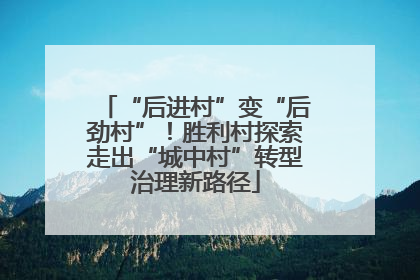 “后进村”变“后劲村”！胜利村探索走出“城中村”转型治理新路径