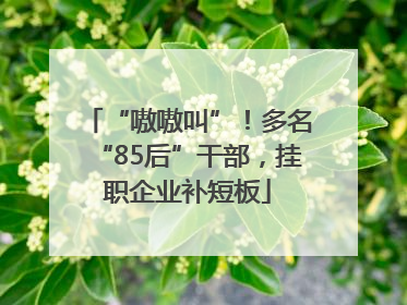 “嗷嗷叫”！多名“85后”干部，挂职企业补短板