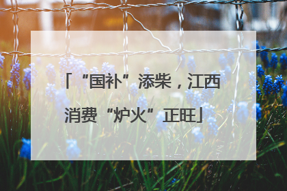 “国补”添柴，江西消费“炉火”正旺
