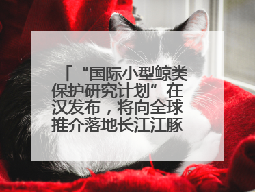 “国际小型鲸类保护研究计划”在汉发布，将向全球推介落地长江江豚保护经验