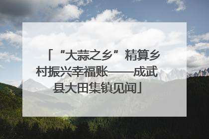 “大蒜之乡”精算乡村振兴幸福账——成武县大田集镇见闻