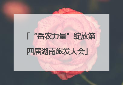 “岳农力量”绽放第四届湖南旅发大会