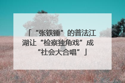 “张铁锤”的普法江湖让“检察独角戏”成“社会大合唱”