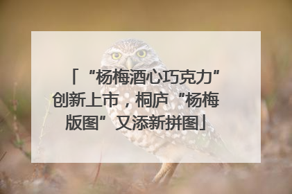 “杨梅酒心巧克力”创新上市，桐庐“杨梅版图”又添新拼图