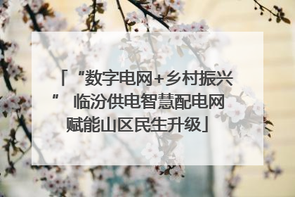 “数字电网+乡村振兴” 临汾供电智慧配电网赋能山区民生升级