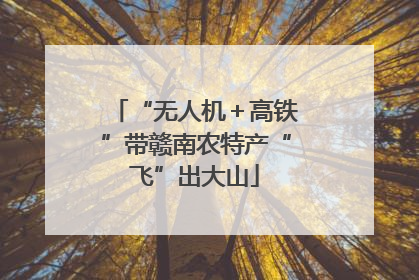 “无人机＋高铁”带赣南农特产“飞”出大山