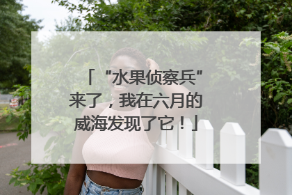 “水果侦察兵”来了，我在六月的威海发现了它！