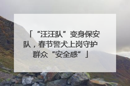 “汪汪队”变身保安队，春节警犬上岗守护群众“安全感”