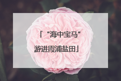 “海中宝马”游进霞浦盐田