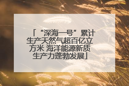 “深海一号”累计生产天然气超百亿立方米 海洋能源新质生产力蓬勃发展