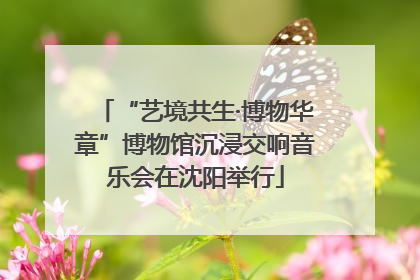 “艺境共生·博物华章”博物馆沉浸交响音乐会在沈阳举行